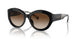 300513 - Black - Brown Gradient