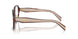 07R1O1 - Brown
