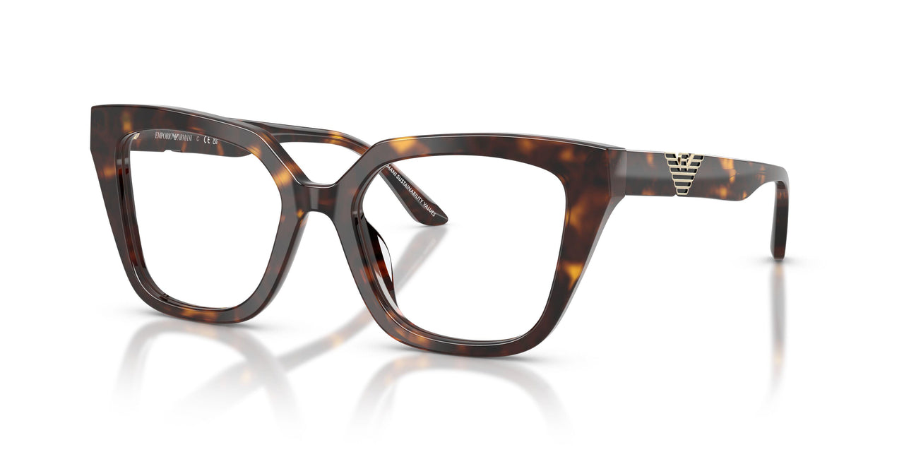 5026 - Tortoise
