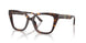 5026 - Tortoise