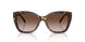 502613 - Tortoise - Brown Gradient