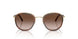 300213 - Gold - Brown Gradient