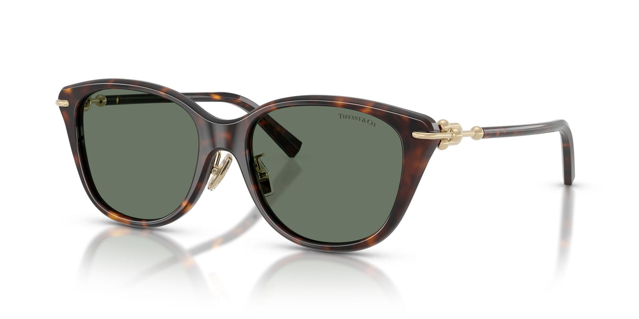 Tiffany 4267F Sunglasses