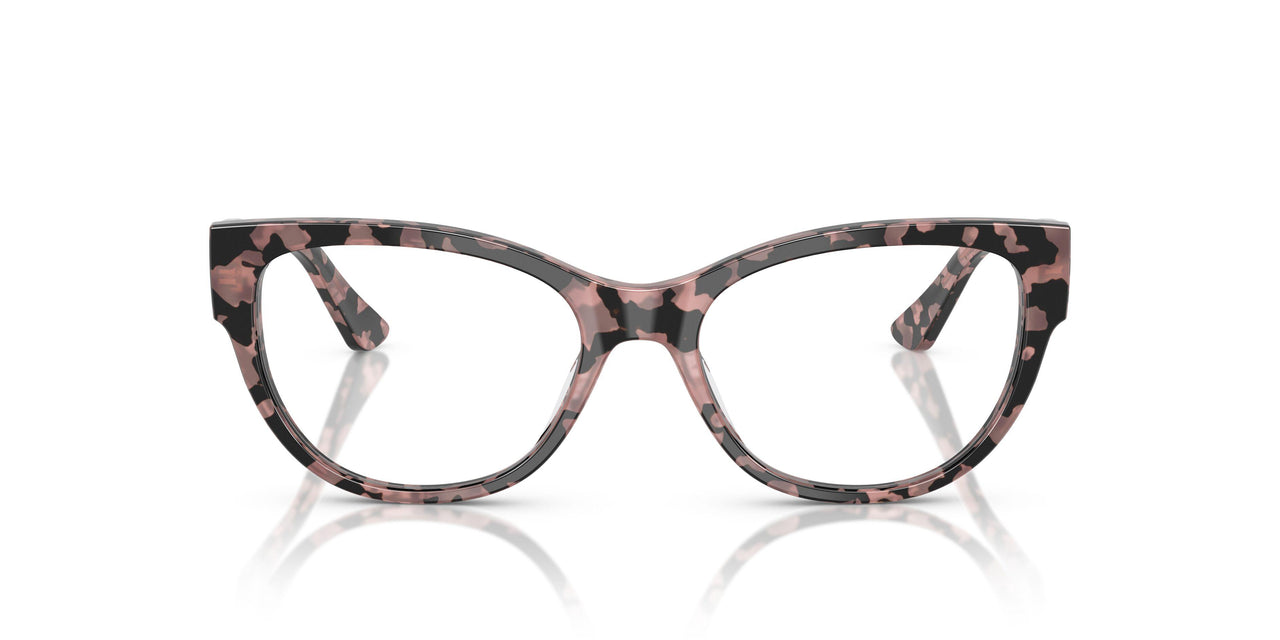 3150 - Tortoise
