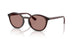 327073 - Red - Light Brown