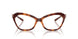 2003 - Tortoise