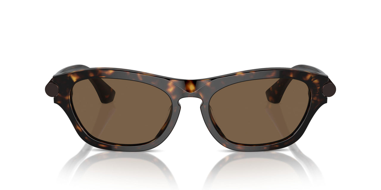 300273 - Brown - Dark Brown