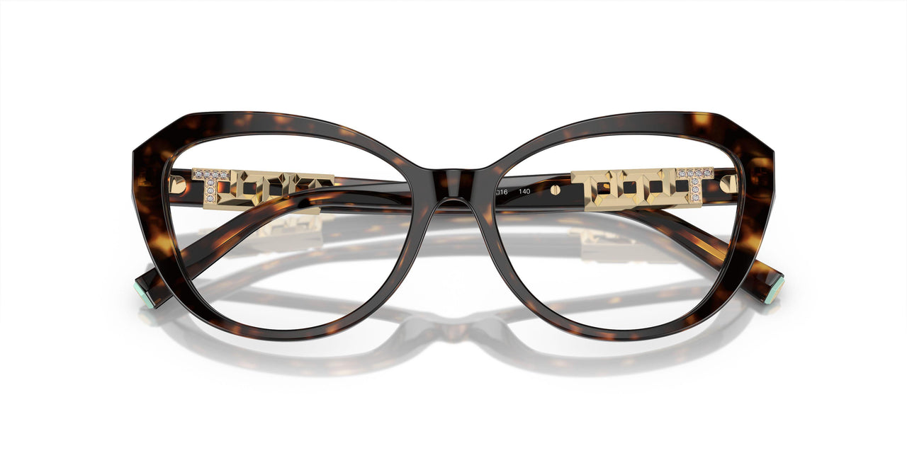 8015 - Tortoise