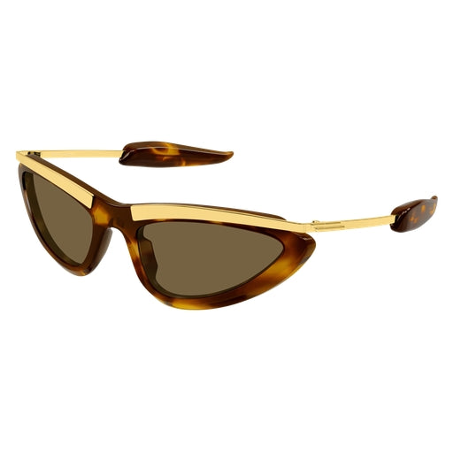 003 - Havana/Gold - Brown