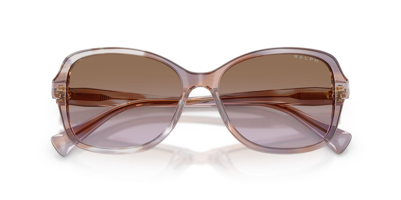 634068 - Tortoise - Gradient Violet