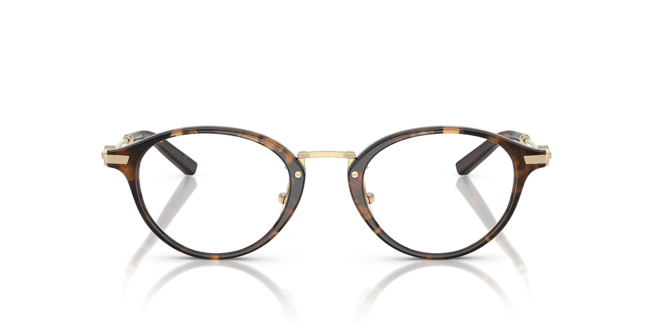 5120 - Tortoise