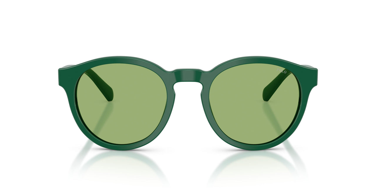 6141/2 - Green - Light Green