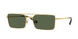 Vogue 4309S Sunglasses