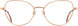 1 - Rose Gold - Frame Only