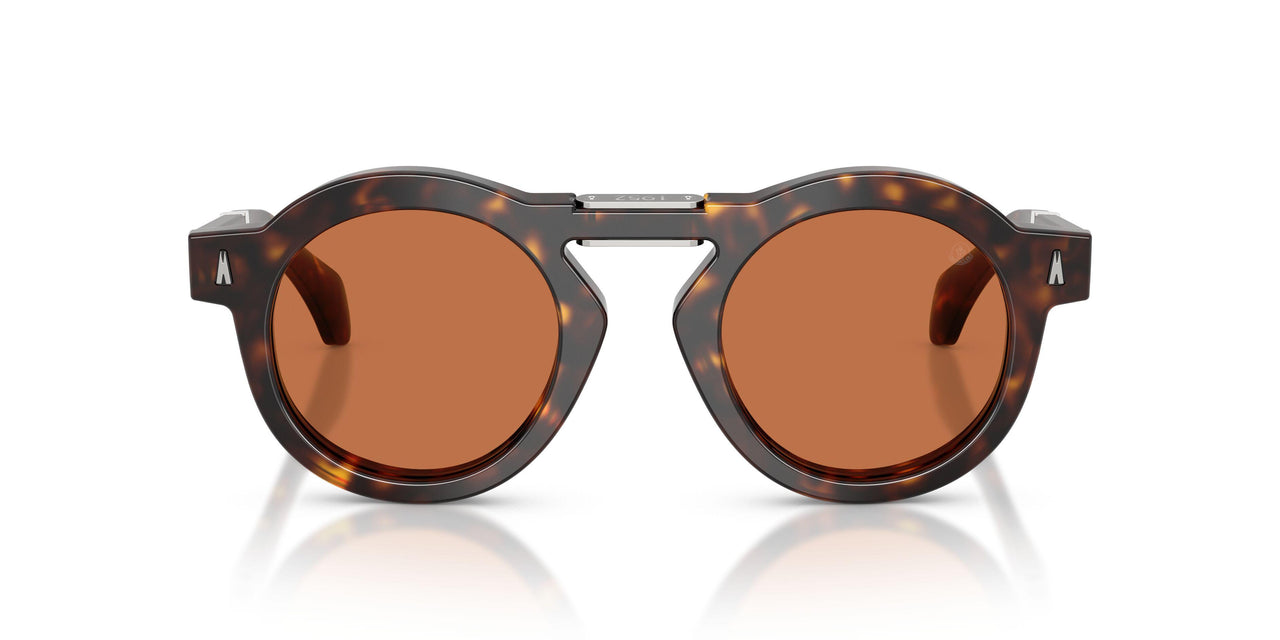 300273 - Tortoise - Brown Solid
