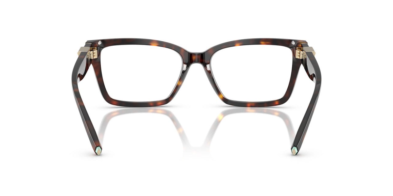 8015 - Tortoise