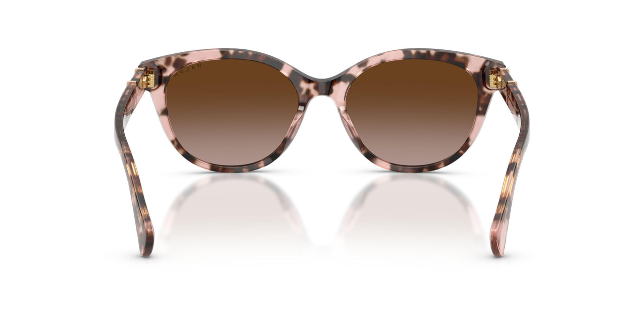 605813 - Tortoise - Gradient Brown