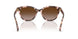 605813 - Tortoise - Gradient Brown