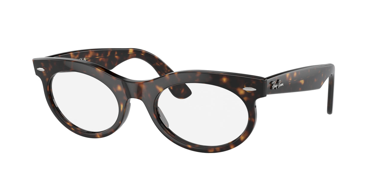 902/GI - Tortoise - Clear/brown