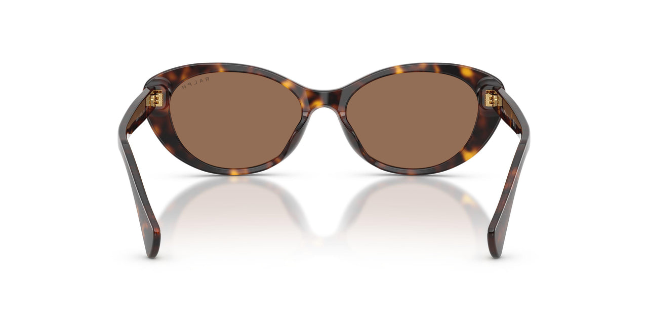 500373 - Brown - Brown