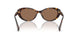 500373 - Brown - Brown