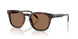 562573 - Tortoise - Dark Brown
