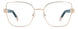 0DDB-00 - GOLD COPP