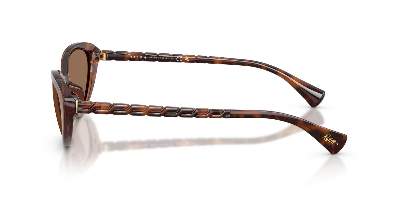 614913 - Tortoise - Brown
