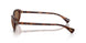 614913 - Tortoise - Brown