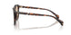 304893 - Tortoise - Solid Light Brown