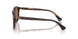 613773 - Tortoise - Dark Brown