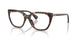 5003 - Tortoise