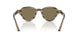 633873 - Brown - Light Brown