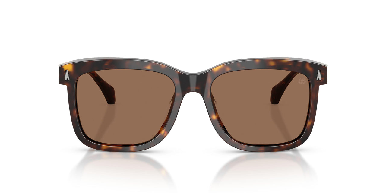 300273 - Tortoise - Brown Solid