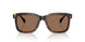 300273 - Tortoise - Brown Solid