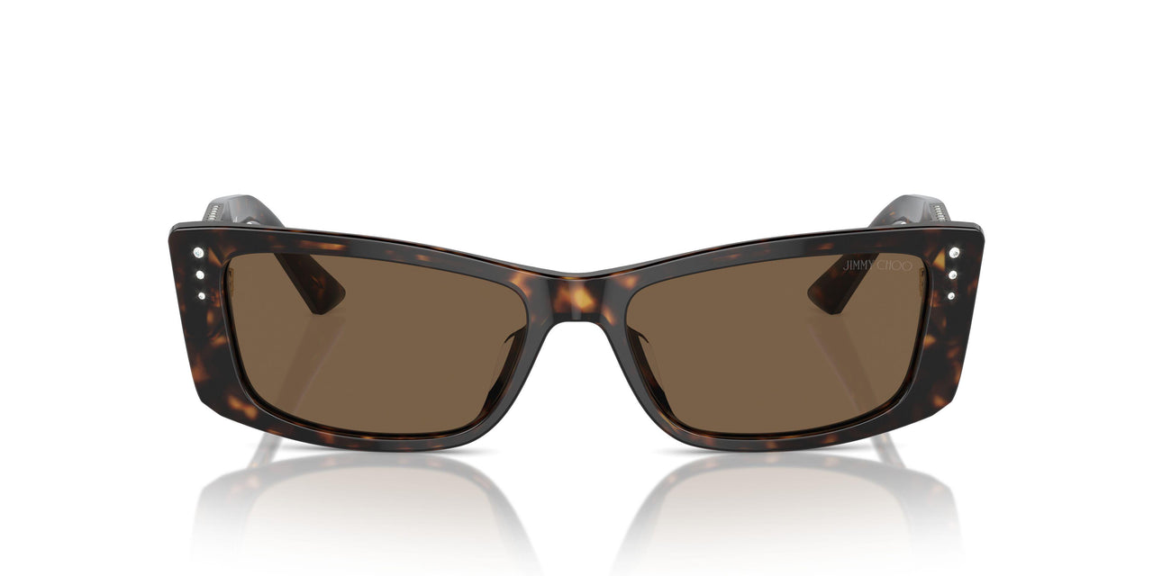 500273 - Tortoise - Dark Brown