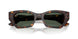 135971 - Tortoise - Dark Green