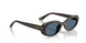 686880 - Brown - Dark Blue