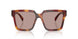 22A20I - Tortoise - Light Purple Brown