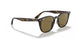 710/73 - Havana - Brown