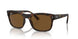 894/57 - Tortoise - Brown