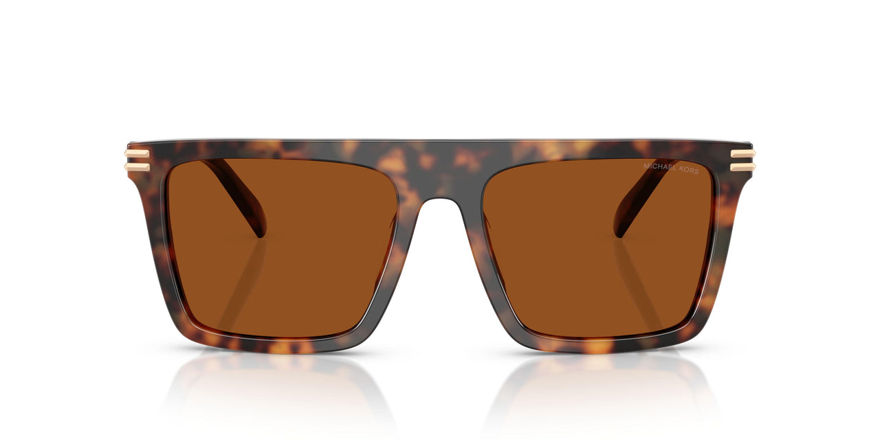390473 - Tortoise - Brown Solid