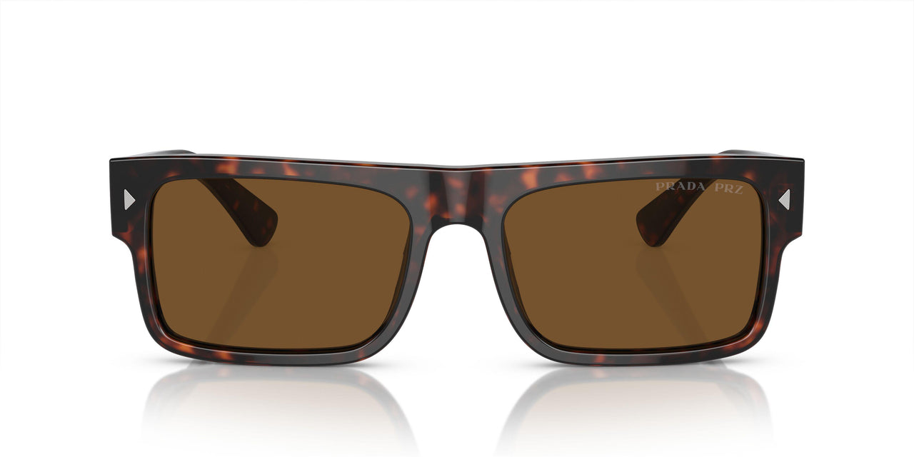 17N01D - Tortoise - Brown Polar