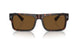 17N01D - Tortoise - Brown Polar