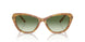 53043M - Tortoise - Gradient Green