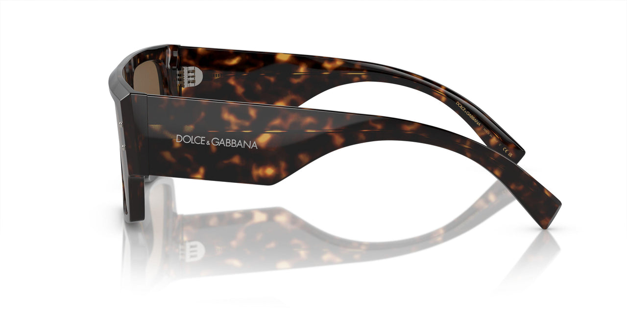 502/73 - Tortoise - Dark Brown