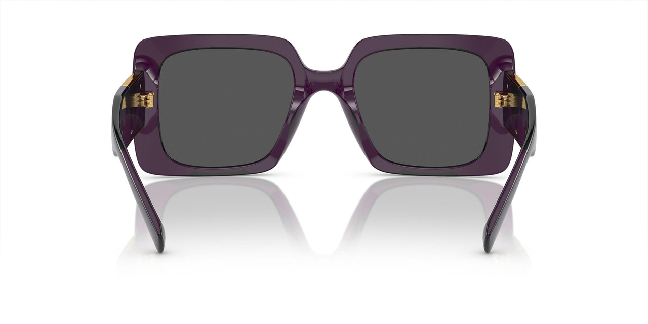 538487 - Violet - Dark Grey