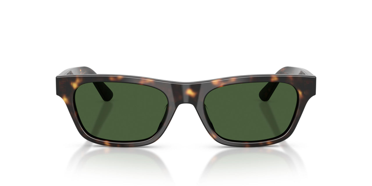 500371 - Tortoise - Dark Green