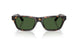 500371 - Tortoise - Dark Green