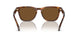 598857 - Red - Polar Brown